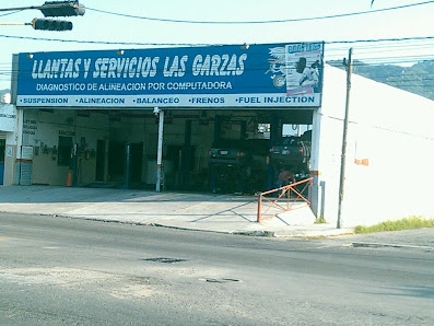 Llantas Y Servicios Las Garzas Taller Mecánico